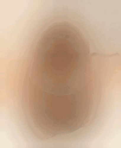 A Brown Dog Wearing A Polka Dot Collar Is Laying On A Blanket GIF
