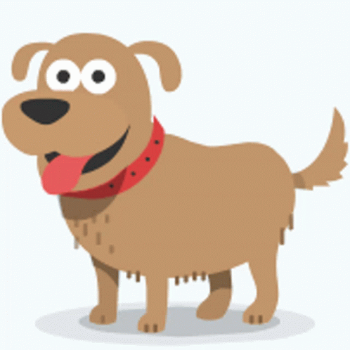 A Brown Dog Wearing A Red Collar Is Standing On A White Surface GIF