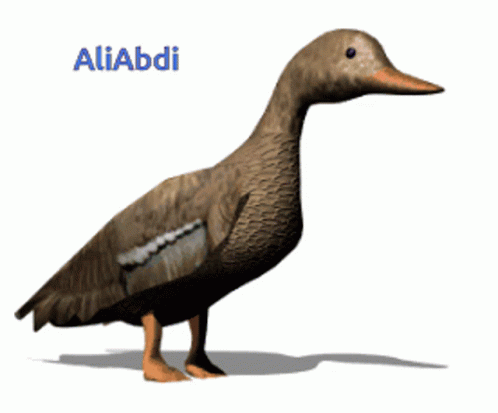 A Brown Duck With The Name Aliabdi On The Bottom GIF