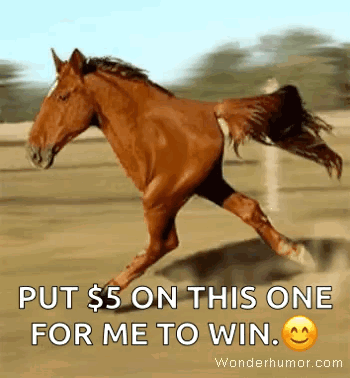 Brown Horse Running In Field Put 5 On This One GIF