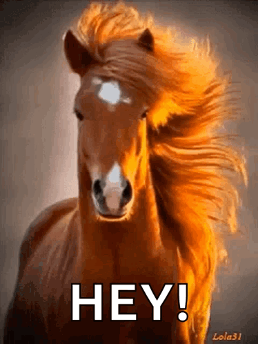 A Brown Horse With A Long Mane Is Running And Says Hey GIF