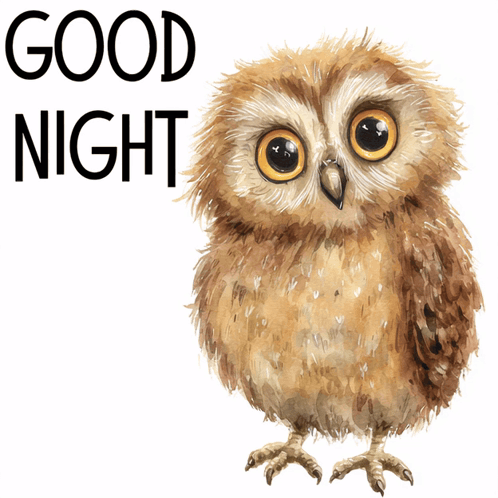 A Brown Owl With The Words Good Night Below It GIF
