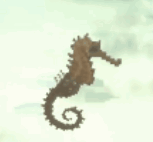 A Brown Seahorse With A Long Tail Is Swimming In The Water . GIF