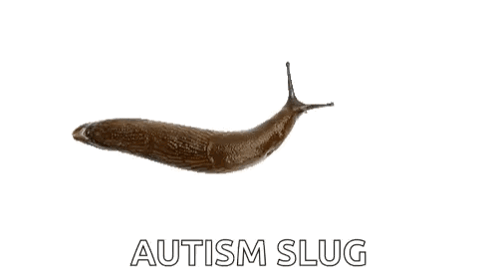 A Brown Snail Is Crawling On A White Background With The Words Autism Slug Below It GIF