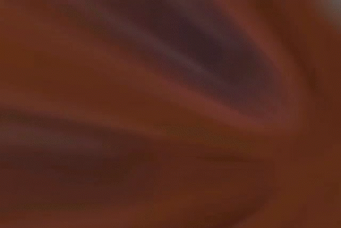A Brown Stuffed Animal Is Swimming In The Water GIF