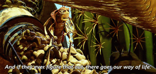 A Bug Is Sitting On A Pile Of Rocks With The Words And If They Ever Figure That Out GIF