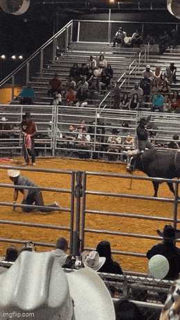 A Bull Is Being Slaughtered At A Rodeo While People Watch GIF
