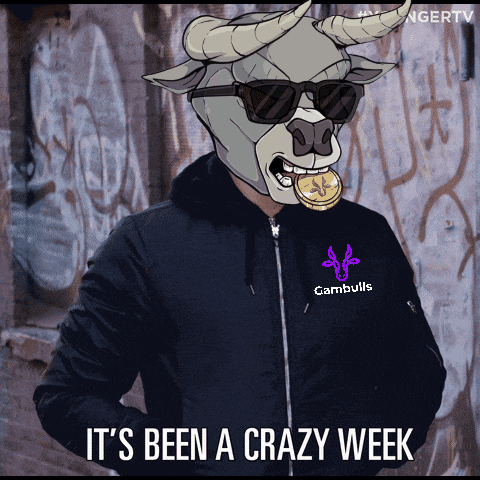 A Bull Wearing Sunglasses And A Cambulls Jacket GIF