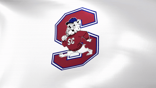 A Bulldog Wearing A Sweater That Says Sc GIF