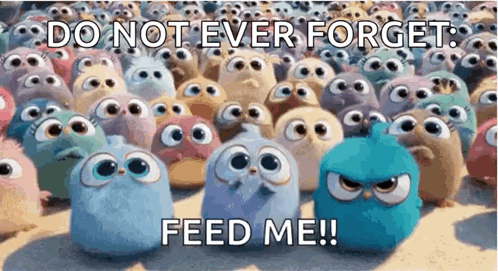 A Bunch Of Angry Birds With The Words `` Do Not Ever Forget Feed Me '' GIF