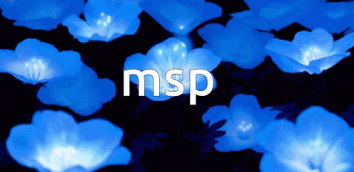 A Bunch Of Blue Flowers With The Word Msp In White GIF