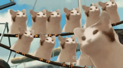A Bunch Of Cats Are Standing On A Rope With The Word Veli On The Bottom Left GIF