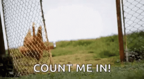A Bunch Of Chickens Are Behind A Chain Link Fence With The Words Count Me In Written On It GIF
