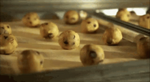 A Bunch Of Chocolate Chip Cookies Are Being Baked In An Oven GIF
