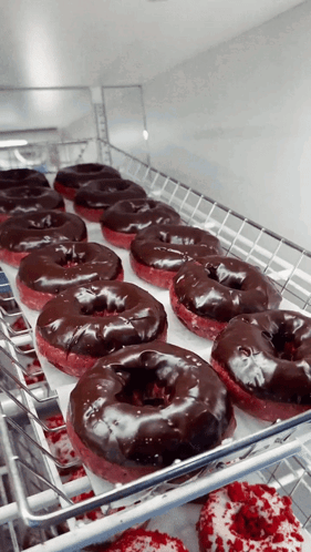 A Bunch Of Chocolate Covered Donuts Are Sitting On A Shelf GIF