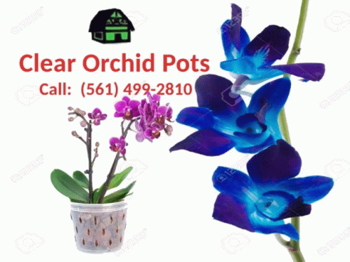 A Bunch Of Clear Plastic Cups With Purple Flowers On A White Background GIF