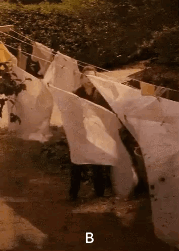 a bunch of clothes are hanging on a clothes line and the letter b is above them