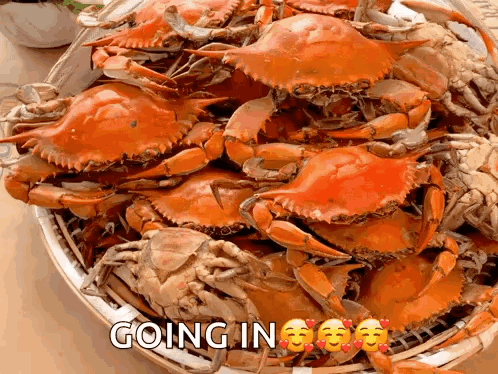 A Bunch Of Crabs In A Basket With The Words Going In GIF