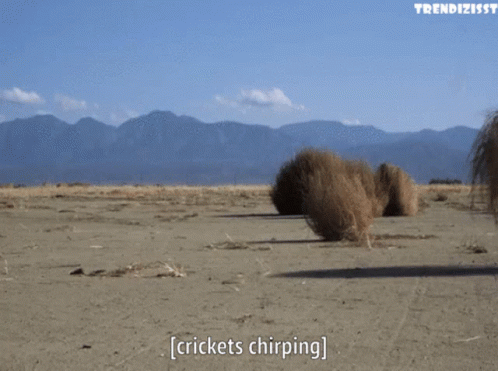 A Bunch Of Crickets Chirping In The Sand GIF