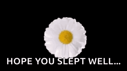 A Bunch Of Daisies Are Arranged In A Circle With The Words `` Hope You Slept Well '' . GIF