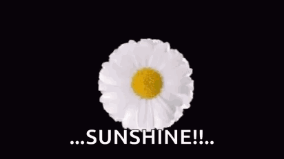A Bunch Of Daisies Are Arranged In A Circle With The Words `` Sunshine '' Written On It . GIF