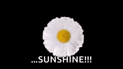 A Bunch Of Daisies Are Sitting In A Circle With The Words `` Sunshine '' Written In The Middle . GIF