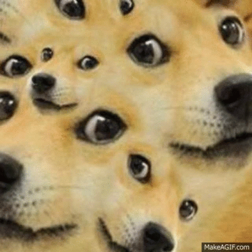 A Bunch Of Doge 'S Faces Are Looking At The Camera With Their Eyes Wide Open . GIF