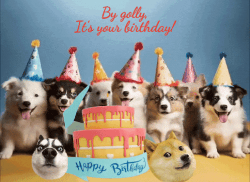 A Bunch Of Dogs Wearing Party Hats And A Birthday Cake GIF