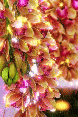 A Bunch Of Flowers Are Hanging From A Tree With Sparkles Coming Out Of Them GIF