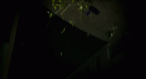 A Bunch Of Flowers Falling From The Ceiling GIF