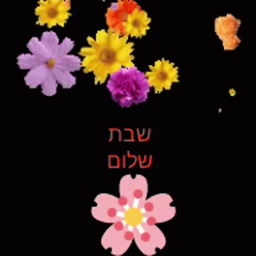 A Bunch Of Flowers On A Black Background With Hebrew Writing On It GIF