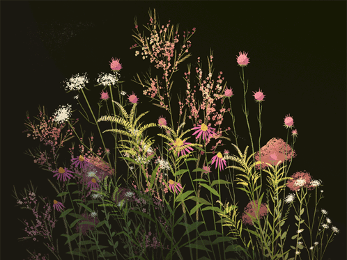 A Bunch Of Flowers With A Black Background GIF