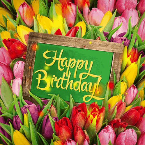 A Bunch Of Flowers With A Green Sign That Says " Happy Birthday " GIF