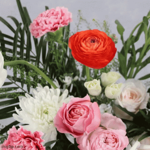 A Bunch Of Flowers With A Red Rose In The Middle GIF