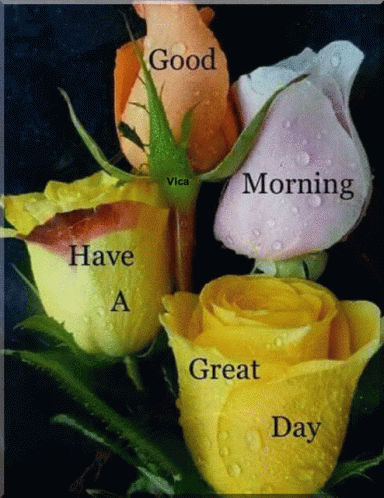 A Bunch Of Flowers With The Words Good Morning Have A Great Day On Them GIF