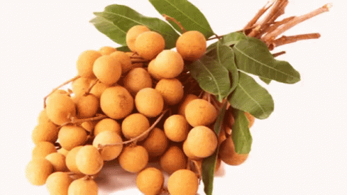 A Bunch Of Fruit With Leaves On A White Background GIF
