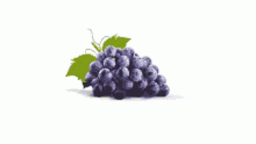 A Bunch Of Grapes With A Green Leaf On A White Background GIF