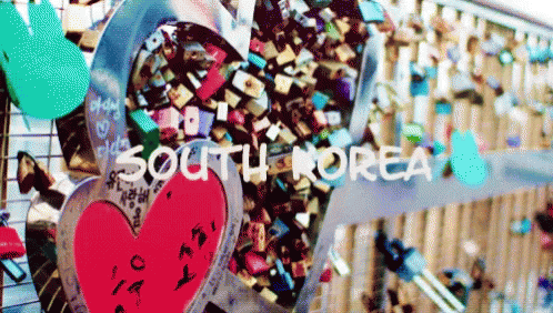 A Bunch Of Locks On A Wall With The Words South Korea GIF