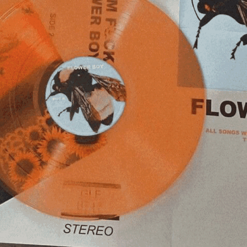 A Bunch Of Orange Flowers Are Sitting On A White Surface GIF