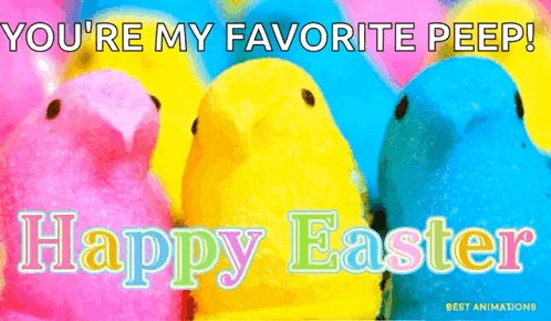 A Bunch Of Peeps Are Sitting Next To Each Other On A Pink And Yellow Background . GIF