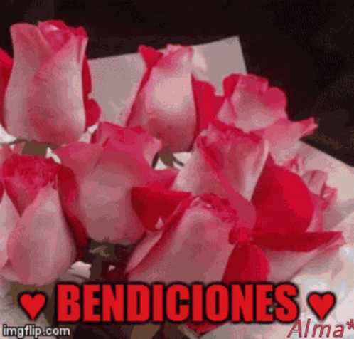 A Bunch Of Pink And Red Roses With The Words Bendiciones In Red GIF
