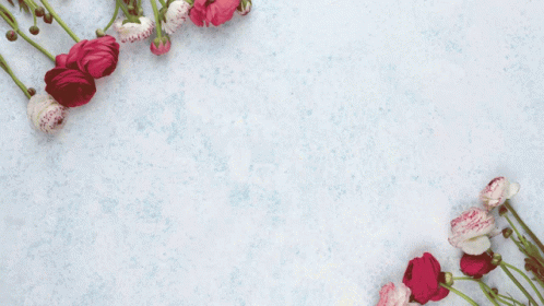 A Bunch Of Pink And White Flowers Are Surrounded By Pink Hearts GIF