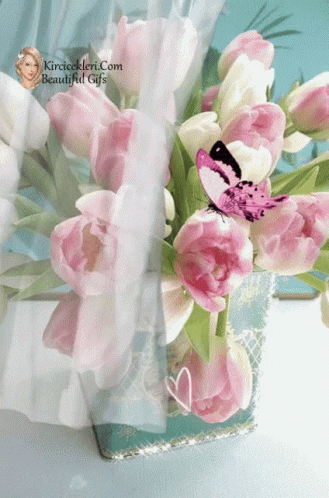 A Bunch Of Pink And White Flowers In A Vase With A Butterfly On It GIF