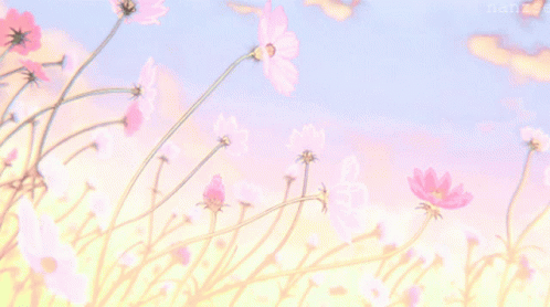 A Bunch Of Pink Flowers Against A Blue Sky With Nanzs Written On The Bottom GIF
