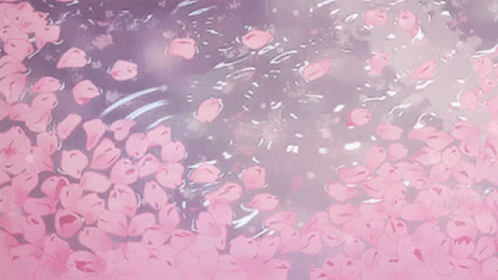 A Bunch Of Pink Flowers Are Floating In The Water . GIF