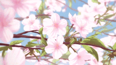 A Bunch Of Pink Flowers Are Growing On A Tree Branch GIF