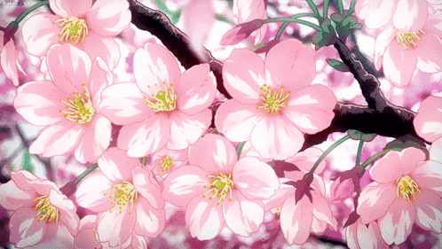 A Bunch Of Pink Flowers Are Hanging From A Tree GIF
