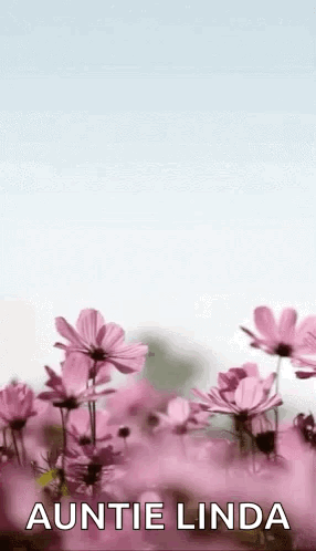 A Bunch Of Pink Flowers With The Words `` Auntie Linda '' On The Bottom . GIF
