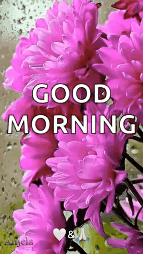 A Bunch Of Pink Flowers With The Words Good Morning GIF