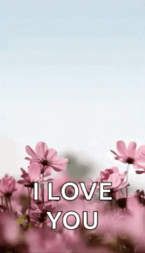 A Bunch Of Pink Flowers With The Words `` I Love You '' Written On It . GIF